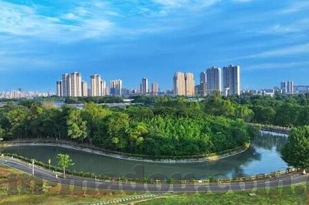 大象传媒短视频app软件-探索大象传媒短视频APP，创新与娱乐的交汇点