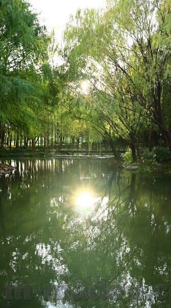 大象传媒近1000-大象传媒，跨越百年的文化传播力量