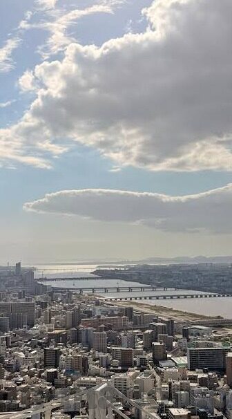 麻豆短视频app官方2021-麻豆短视频2021，重塑内容消费新体验的探索