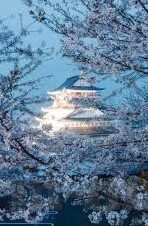 麻豆国产果冻传媒二区-麻豆国产果冻传媒二区，探索国产成人影视的独特魅力