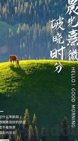 人妻色网-探寻人妻色网背后的情感与文化交织