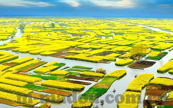 糖心直播app怎么样-糖心直播，多维度解析其亮点与用户体验