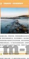 香港大象传媒app-探索香港大象传媒app，数字时代的文化交流新平台